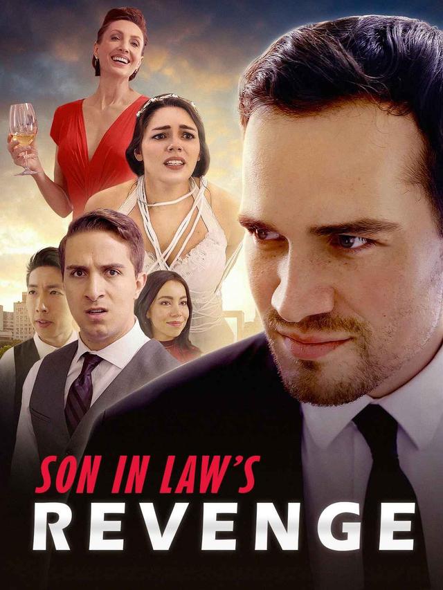 Son in Law's Revenge