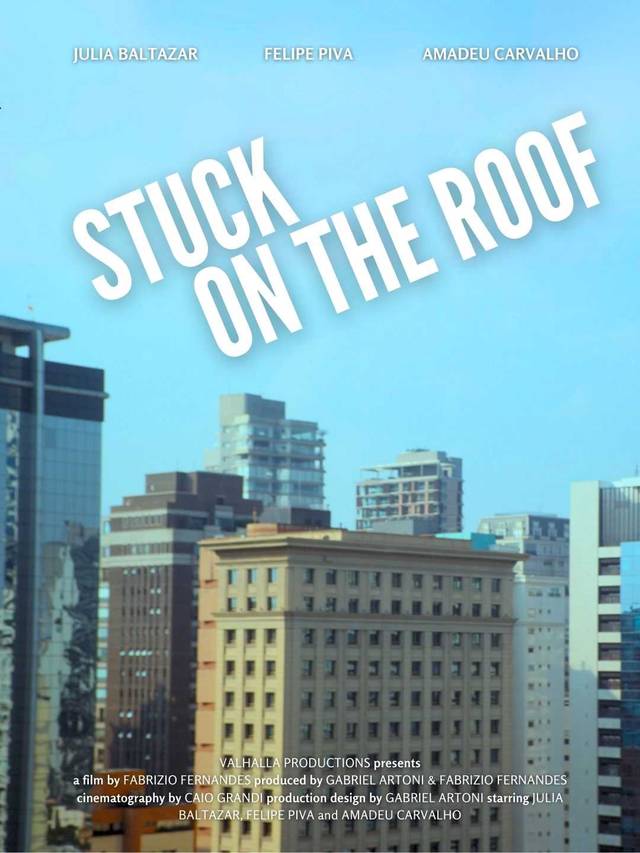 Stuck on the roof