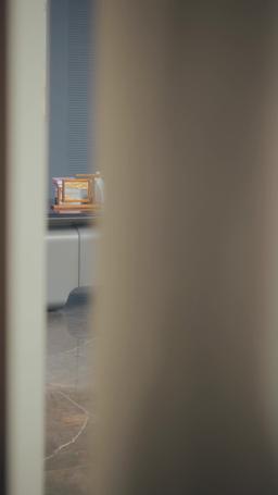 The Gynecologist’s Revenge episode 26