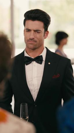 Papa hat Mädchen und Waffen episode 25