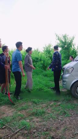 燦燦萱草花 episode 63