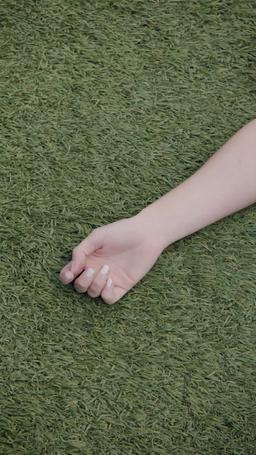 Querida, por favor no te cases con él episode 34