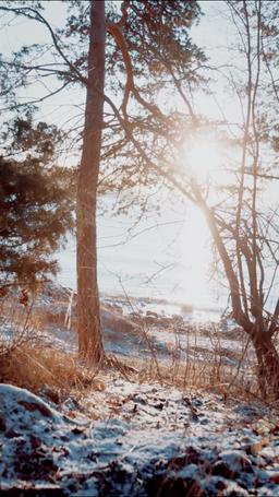 Ali di fuoco: il cacciatore di draghi è il mio ex amante episode 34