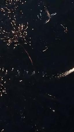 Money, Robots, and a Happy 4th of July trailer