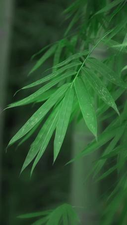 Kemuliaan yang Pernah Kau Rendahkan episode 1