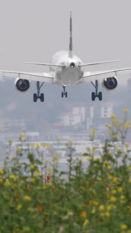 Ajuste de Cuentas en el Vuelo episode 5