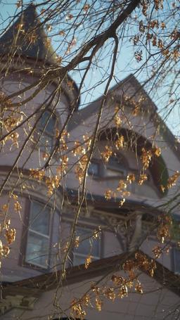 ボスの赤ちゃんを妊娠しました！？ episode 49