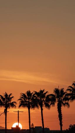 황혼 로맨스: 순식간에 이루어진 성숙한 재벌과의 결혼 episode 26