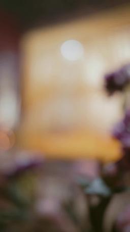 The Dagger in the Palace episode 11