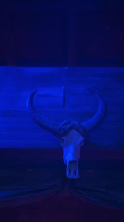 我在人間當閻羅 episode 1