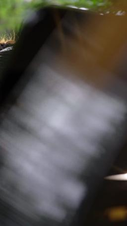 Ehi mamma! Dobbiamo trovare un nuovo papà! episode 19