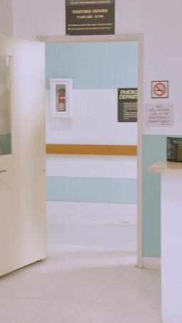 Doctor Boss Is My Baby Daddy episode 55