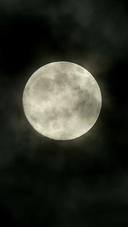 알파를 내 거로 만든 방법 episode 54