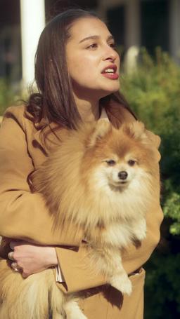 Il mio capo è il mio donatore di sperma segreto episode 52