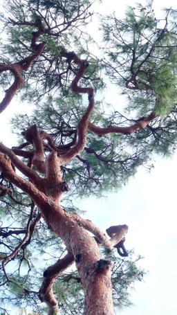 재벌 영애의 이중 생활 episode 13