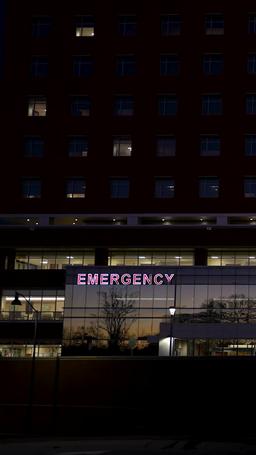 マフィアの花嫁 episode 11