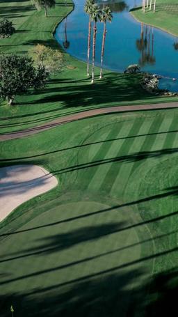 Mafia's Tender Torture episode 4