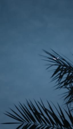 Bajo la Máscara de Mi Esposo CEO episode 37