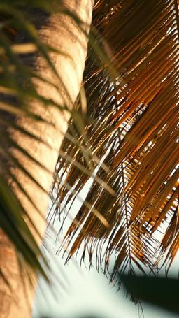 [doblado] No Me Extrañen Cuando No Esté episode 47