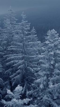 La boss e il suo San Valentino in provincia episode 49