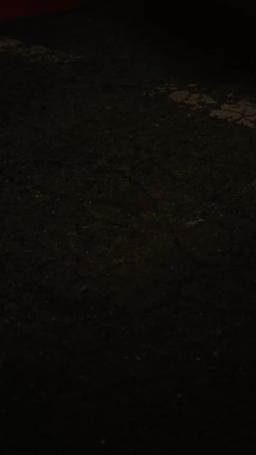 離婚後、人生はもっと輝いた episode 58