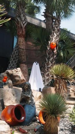 El secreto de Nami Sushi episode 34