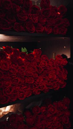 Piège d’Amour avec Mon Séduisant Chevalier episode 15