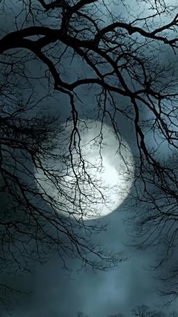 알파를 내 거로 만든 방법 episode 25