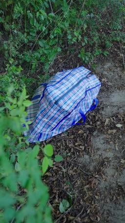 Ulubieniec całej rodziny episode 8