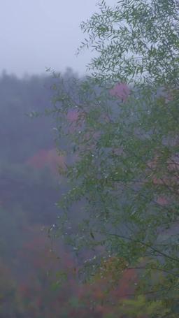 吉天照 第一季 episode 45