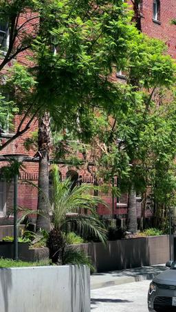 Un incontro predestinato episode 17