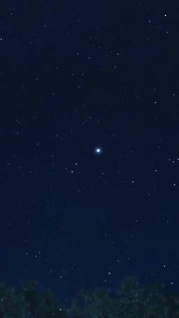 Papa ! Tu gâtes le mauvais enfant ! episode 7