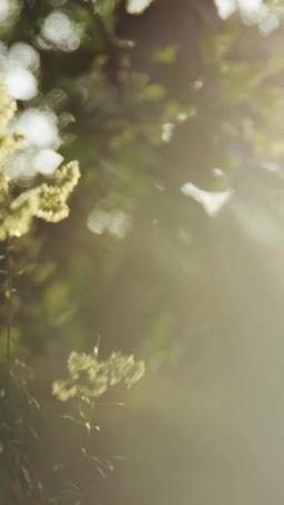 La detective e il ladro episode 55