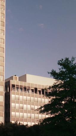 Ciao, sposiamoci! episode 41