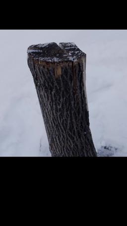 Beautiful Beast episode 20