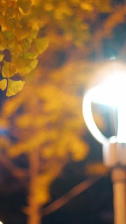 El Corazón del Magnate episode 71