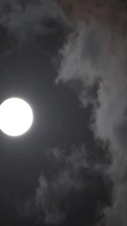 Reddedildi, Ünlendi: Aşçı Kraliçenin Dönüşü episode 49