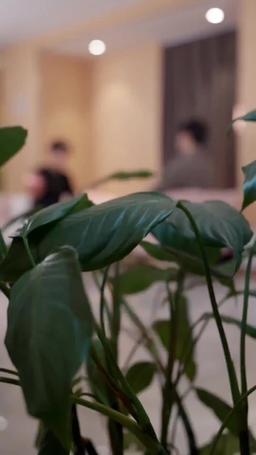 회장 남편을 차단했다 episode 76