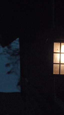 運命の番 ～アルファ狼と人間の禁断の恋～ episode 53