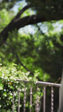 妊娠して映画スターと結婚 episode 40