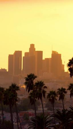 ملك السجن المتخفي بين النيران episode 63