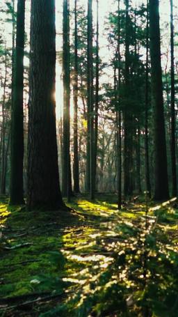 Blood contract episode 46