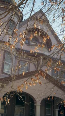 Il mio capo è il mio donatore di sperma segreto episode 19