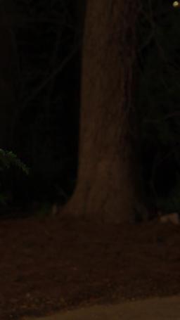 Les Secrets d'une Princesse de la Mafia episode 22