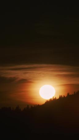 Kurt Kral'ın İntikamı: Kurt kral ve İnsan Eşi episode 31