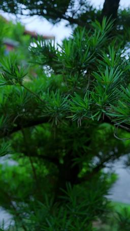 การเกิดใหม่ในกองเพลิง episode 63