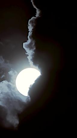 Daisy Tucker und Herr NYC episode 68