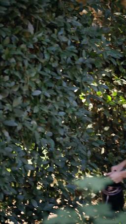 「Synchronisierung」Beansprucht vom Alpha, den ich hasse episode 49