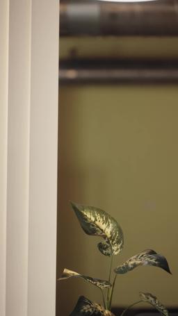 Sucumbindo ao Meu Chefe Perigoso episode 15