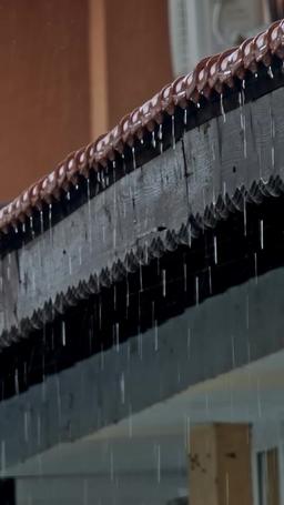 Grávida e Mimada pelo Bilionário episode 5